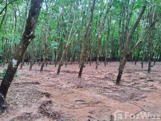 For sale land in Phu Phiang, Nan