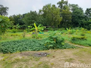 For sale 3 bed house in Sanom, Surin