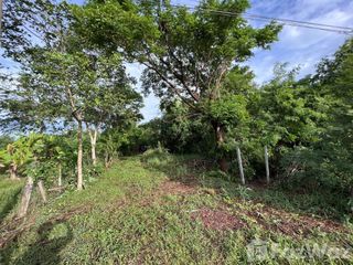 For sale land in Hankha, Chainat