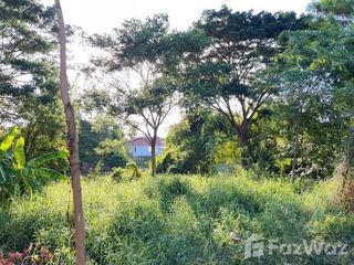 For sale land in Hankha, Chainat