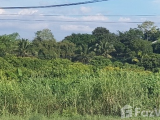 For sale land in Mueang Lamphun, Lamphun