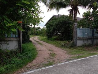 For sale land in Li, Lamphun
