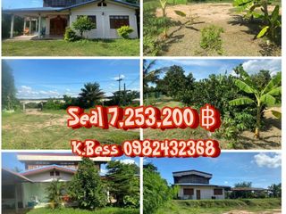 For sale land in Prasat, Surin