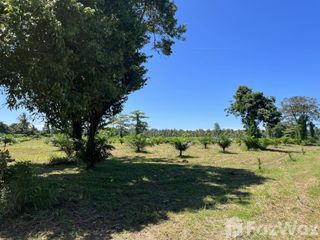 For sale land in Takua Pa, Phang Nga