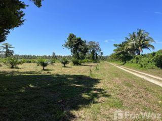 For sale land in Takua Pa, Phang Nga