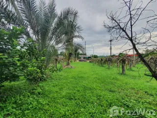 For sale land in Mueang Loei, Loei
