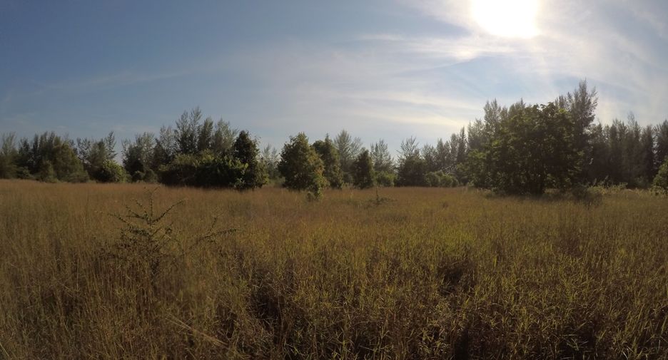 For sale land in Khura Buri, Phang Nga