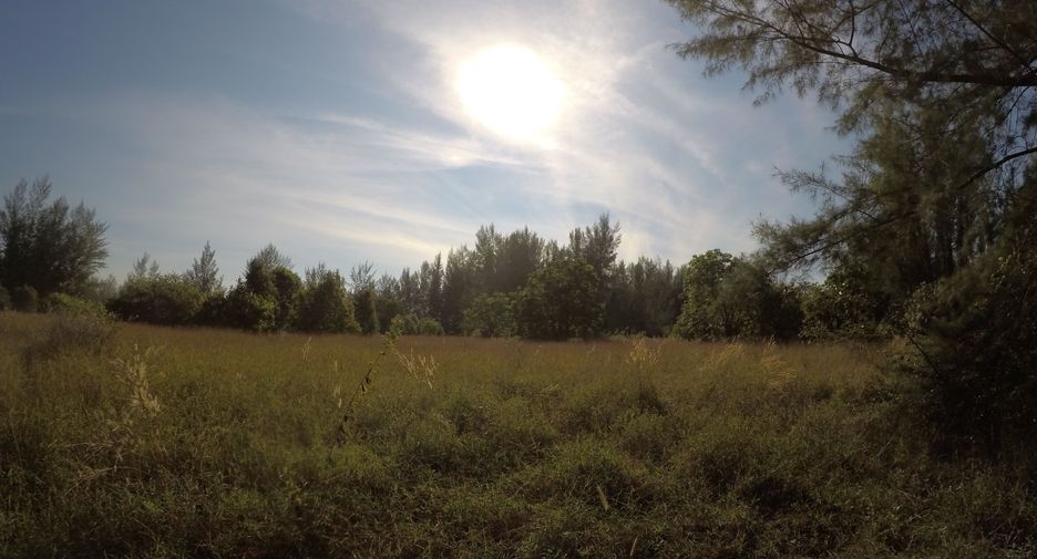 For sale land in Khura Buri, Phang Nga