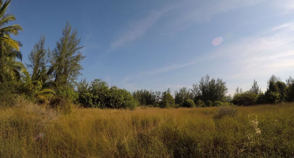 For sale land in Khura Buri, Phang Nga