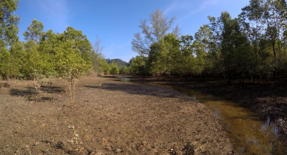 For sale land in Khura Buri, Phang Nga