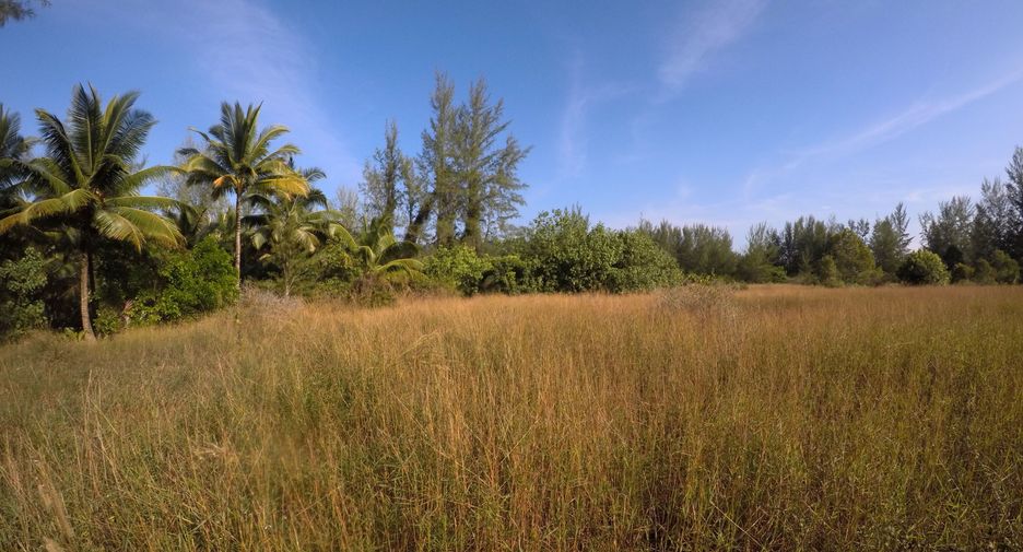 For sale land in Khura Buri, Phang Nga