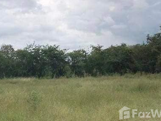 For sale land in Sao Hai, Saraburi