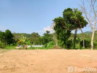 For sale land in Ko Chang, Trat