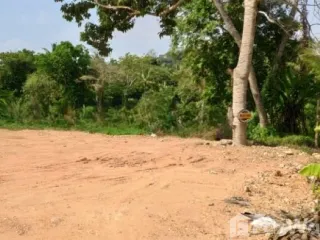 For sale land in Ko Chang, Trat