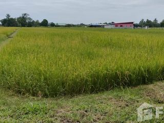 For sale land in Mueang Khon Kaen, Khon Kaen