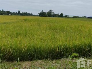 For sale land in Mueang Khon Kaen, Khon Kaen