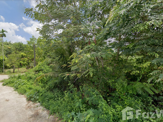 For sale land in Tha Sala, Nakhon Si Thammarat