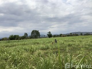 For sale land in Chai Badan, Lopburi