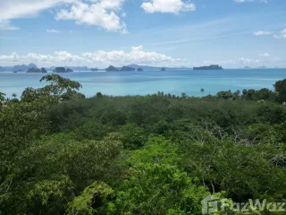 For sale land in Ko Yao, Phang Nga