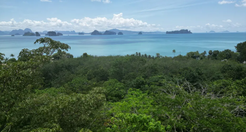 For sale land in Ko Yao, Phang Nga
