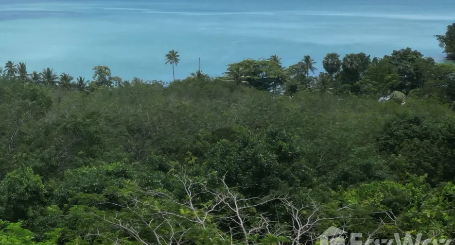 For sale land in Ko Yao, Phang Nga