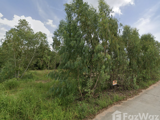 For sale land in Phana, Amnat Charoen