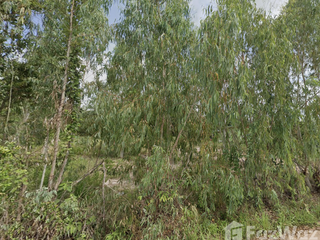 For sale land in Phana, Amnat Charoen