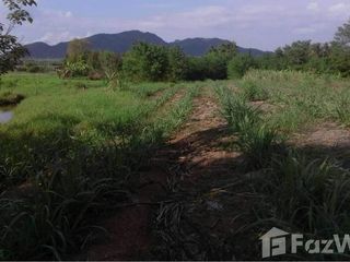 For sale land in Wang Saphung, Loei