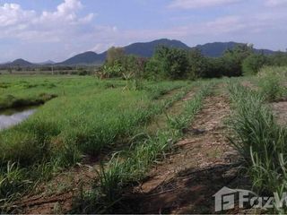 For sale land in Wang Saphung, Loei
