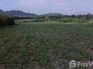 For sale land in Wang Saphung, Loei