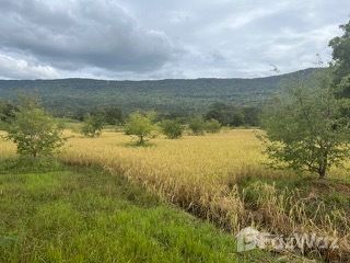 For sale land in Phakdi Chumphon, Chaiyaphum