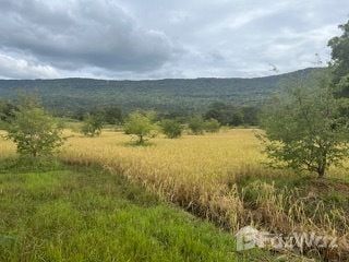 For sale land in Phakdi Chumphon, Chaiyaphum