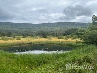 For sale land in Phakdi Chumphon, Chaiyaphum
