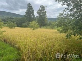 For sale land in Phakdi Chumphon, Chaiyaphum