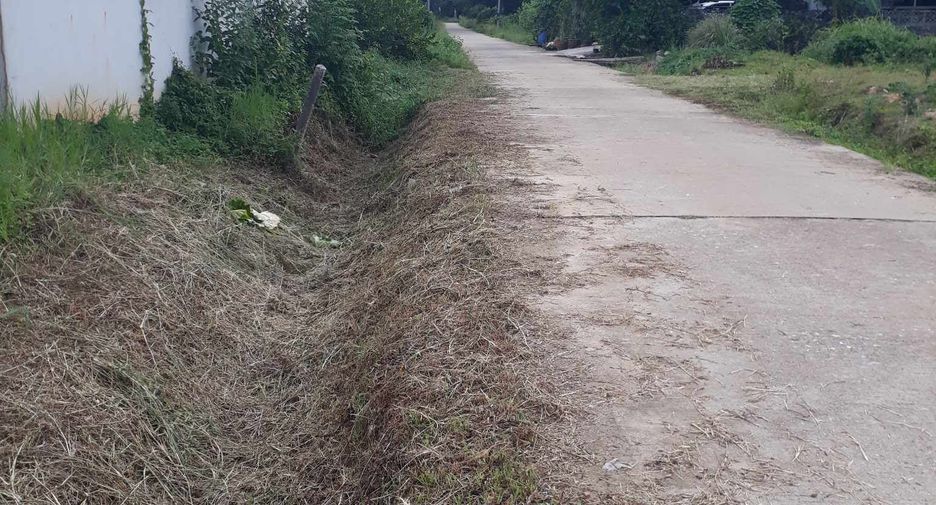 For sale land in Saba Yoi, Songkhla
