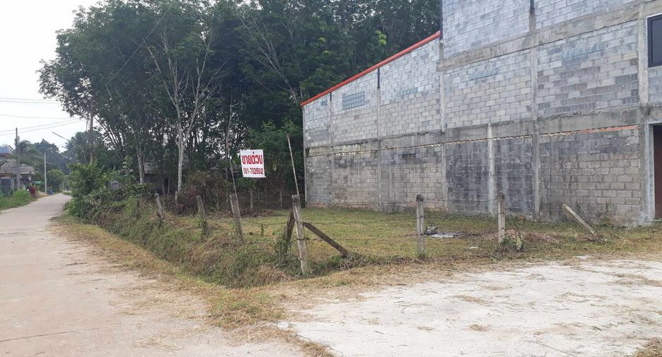 For sale land in Saba Yoi, Songkhla