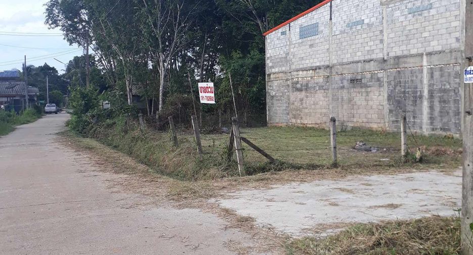 For sale land in Saba Yoi, Songkhla