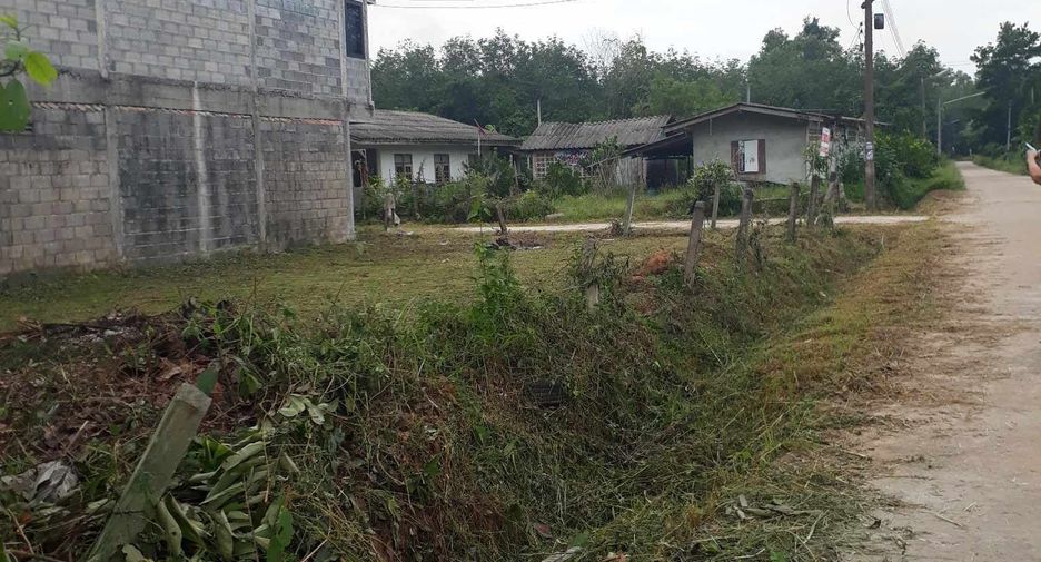 For sale land in Saba Yoi, Songkhla