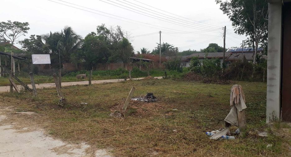 For sale land in Saba Yoi, Songkhla