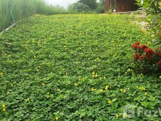 For sale 2 Beds house in Pong Nam Ron, Chanthaburi
