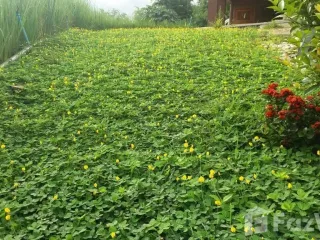 For sale 2 bed house in Pong Nam Ron, Chanthaburi