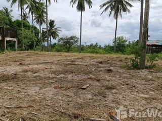 For sale land in Sichon, Nakhon Si Thammarat