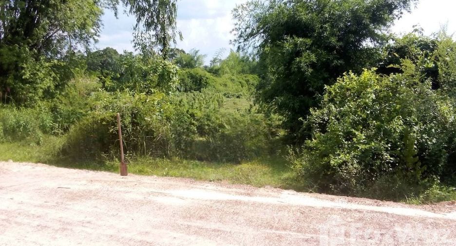 For sale land in Tha Uthen, Nakhon Phanom