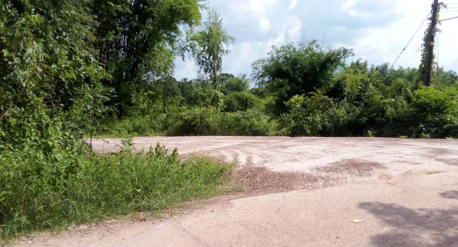 For sale land in Tha Uthen, Nakhon Phanom