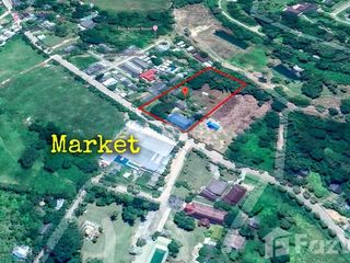 For sale land in Pai, Mae Hong Son