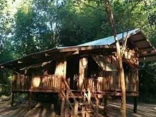 For sale land in Seka, Bueng Kan
