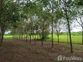 For sale land in Seka, Bueng Kan