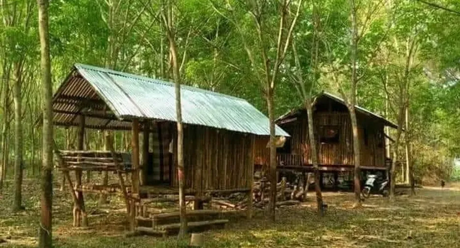 For sale land in Seka, Bueng Kan