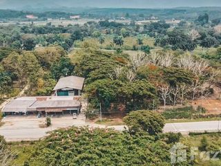 For sale land in Chiang Dao, Chiang Mai