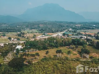 For sale land in Chiang Dao, Chiang Mai